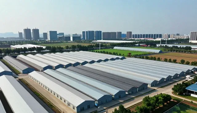 软件研发中技术灵活性的实践与应对策略